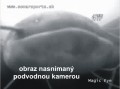 fotka odfoten cez podvodn kameru