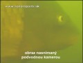podvodn kamera v prexi