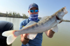 Sonar Lowrance Elite FS™ 7 so sondou HDI Sonar Lowrance Elite FS™ 7 so sondou HDI
