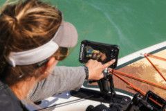 Sonar EAGLE 5 SPLITSHOT Sonar EAGLE 5 SPLITSHOT
