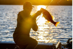 Sonar EAGLE 9 TRIPLESHOT Sonar EAGLE 9 TRIPLESHOT